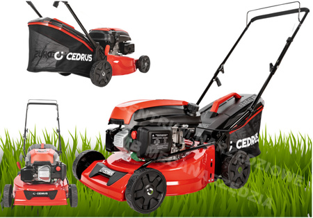 Cedrus Kosiarka spalinowa 42cm 2.6kW silnik 146 cc CEDKS42